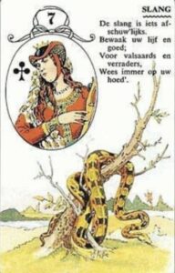 lenormand kaart 7 slang